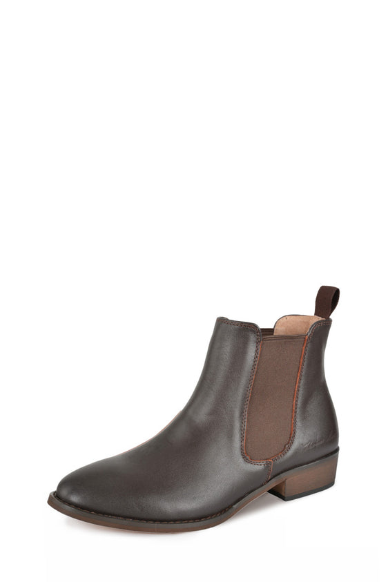 Thomas Cook Womens Chelsea Boot - Chocolate [Siz:7]